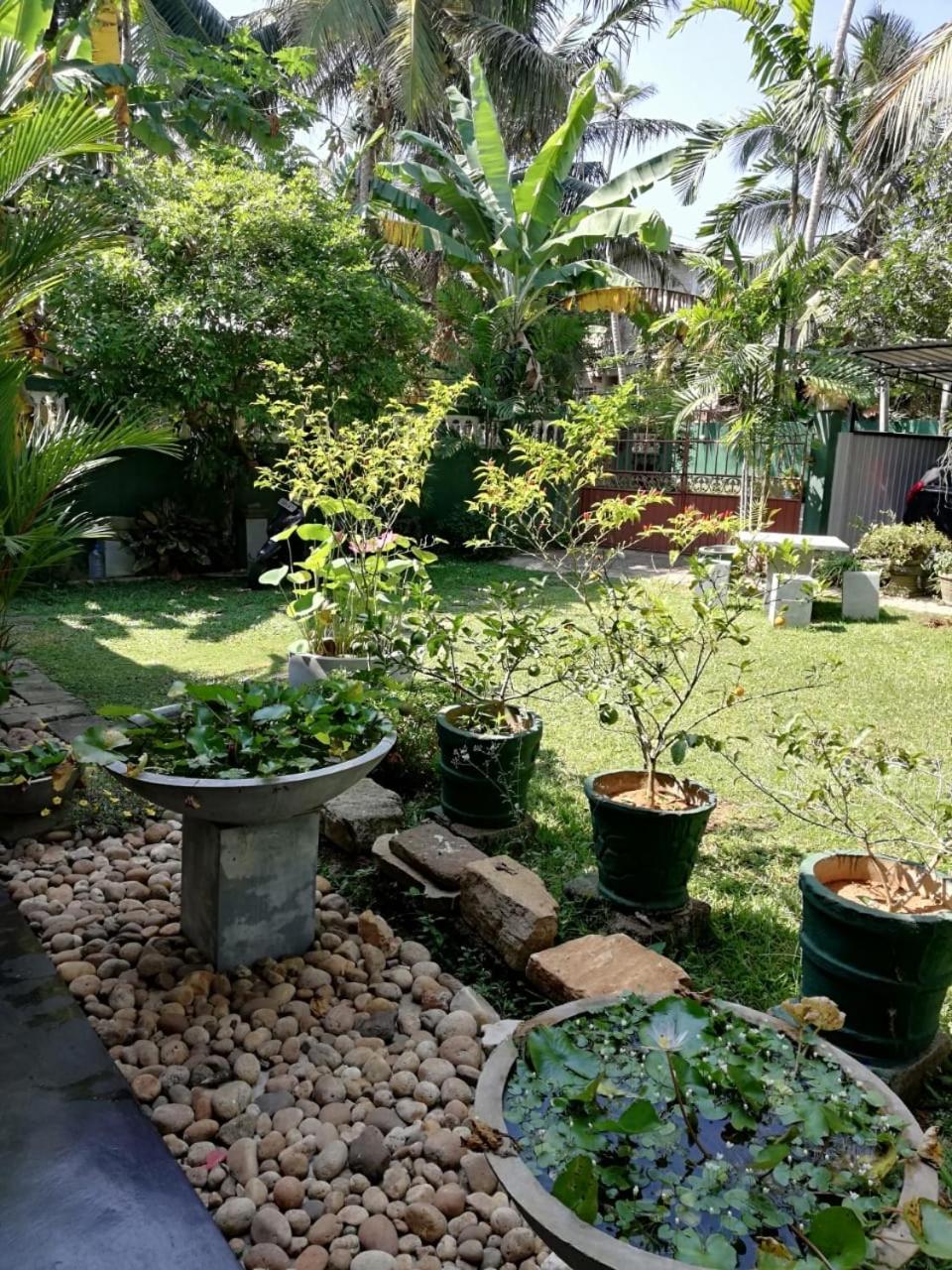 Serenity Villa Hikkaduwa Ngoại thất bức ảnh