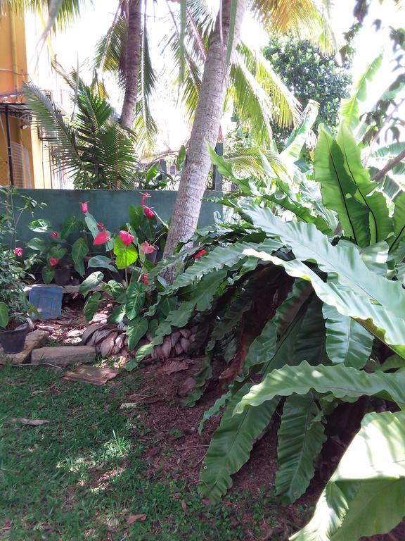 Serenity Villa Hikkaduwa Ngoại thất bức ảnh