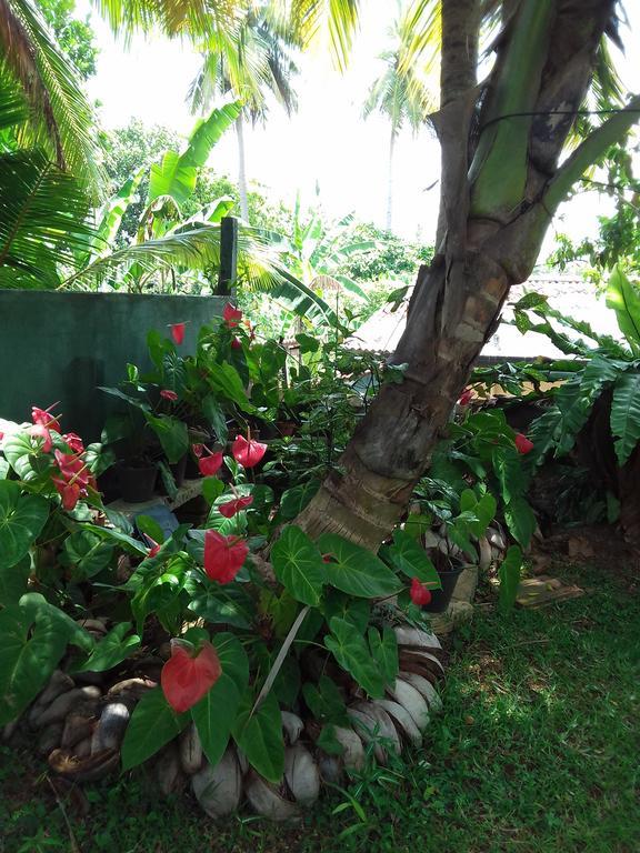 Serenity Villa Hikkaduwa Ngoại thất bức ảnh